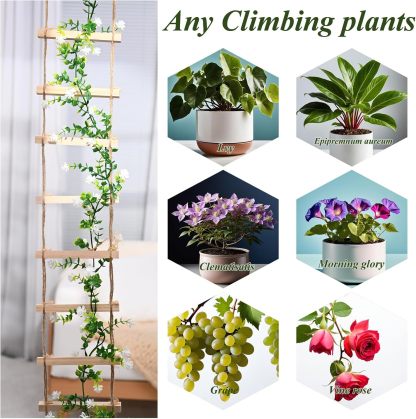 Natural Wood Ladder Trellis for Climbing Plants-MOUGIGI
