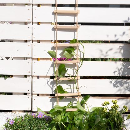 Natural Wood Ladder Trellis for Climbing Plants-MOUGIGI