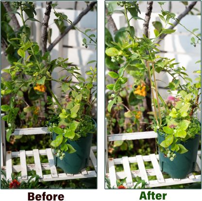 3-Pack Gold Plant Support Stakes for Monstera & Vines-MOUGIGI