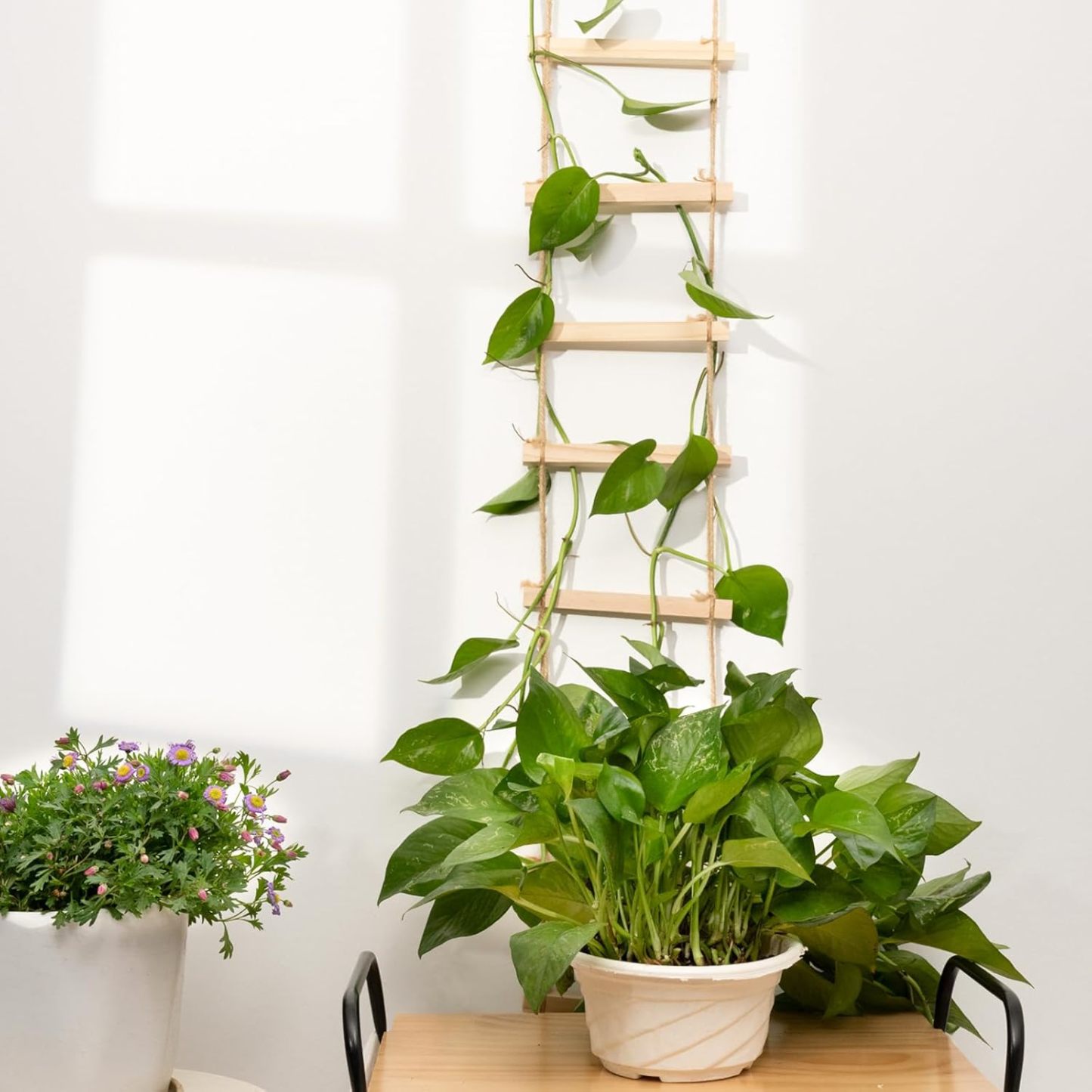 Natural Wood Ladder Trellis for Climbing Plants-MOUGIGI