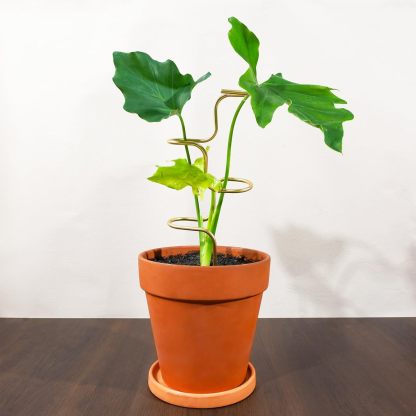 3PCS Metal Plant Stakes - 12.6" Indoor/Outdoor Plant Support-MOUGIGI