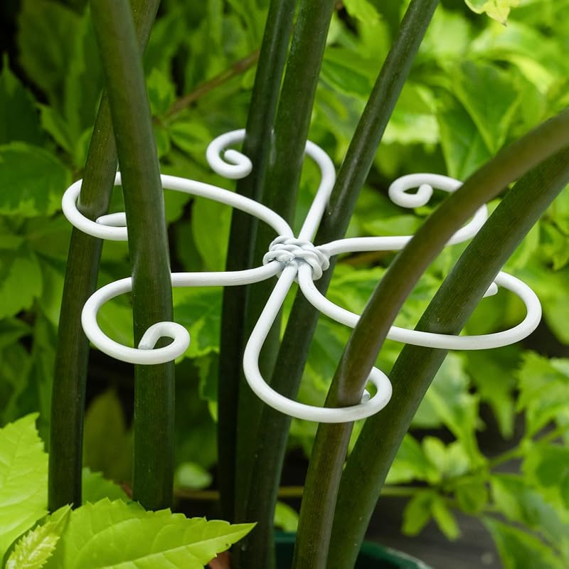 5-Pack Monstera Plant Support Stakes, 4.1IN Clamps-MOUGIGI