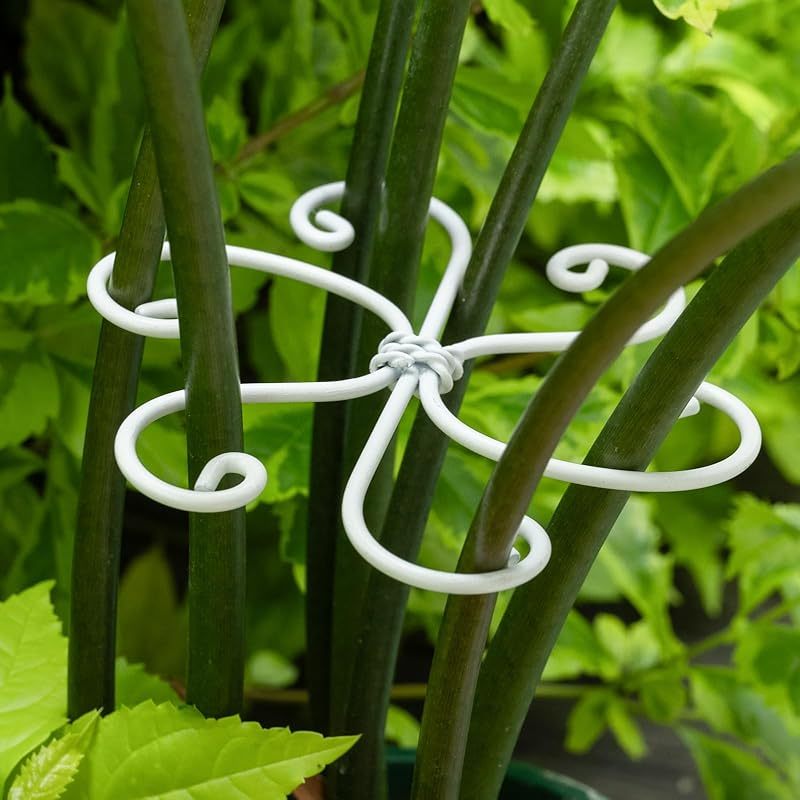 5-Pack Monstera Plant Support Stakes, 4.1IN Clamps-MOUGIGI