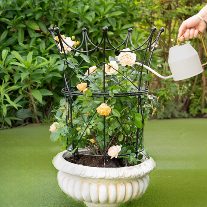 18.5x22.9in Metal Obelisk Trellis - Plant Support for Peonies & Vines