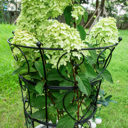 24.6x17in Metal Obelisk Trellis for Peonies & Vines