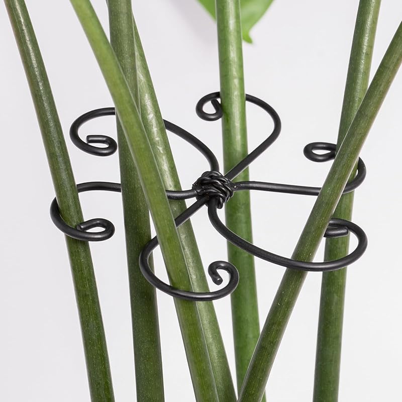 5-Pack Monstera Plant Support Stakes, 4.1IN Clamps-MOUGIGI