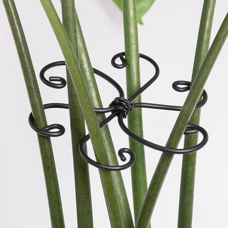 5-Pack Monstera Plant Support Stakes, 4.1IN Clamps-MOUGIGI