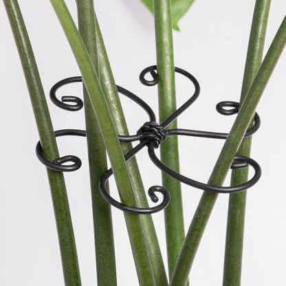5-Pack Monstera Plant Support Stakes, 4.1IN Clamps-MOUGIGI