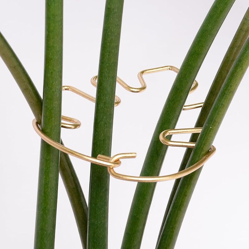 5-Pack Gold Plant Support Clips for Monstera & Vines-MOUGIGI