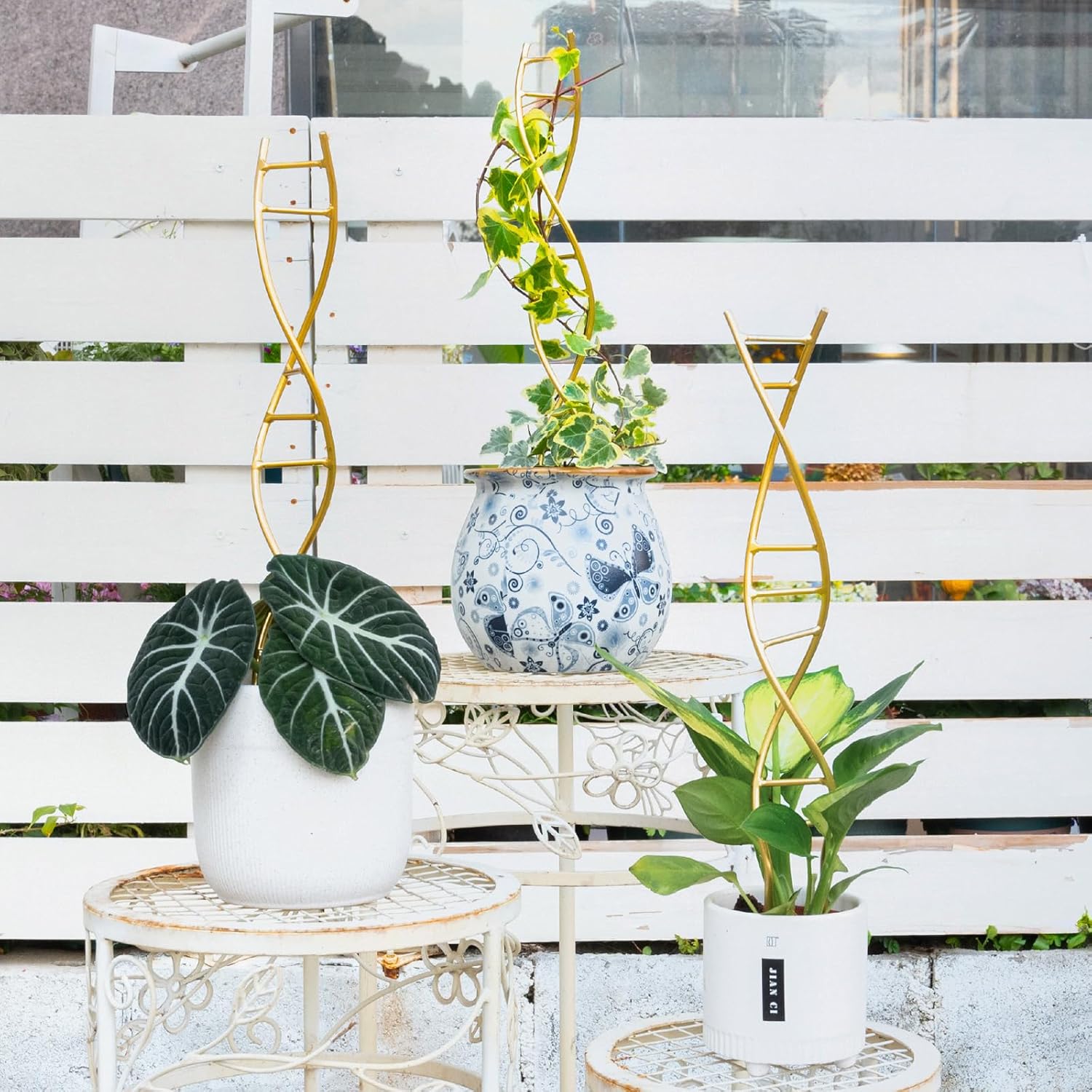 3-Pack DNA Spiral Trellis for Climbing Plants-MOUGIGI