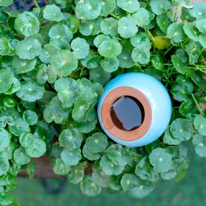 4-Pack Ceramic Self-Watering Spikes - 1-Week Plant Watering-MOUGIGI