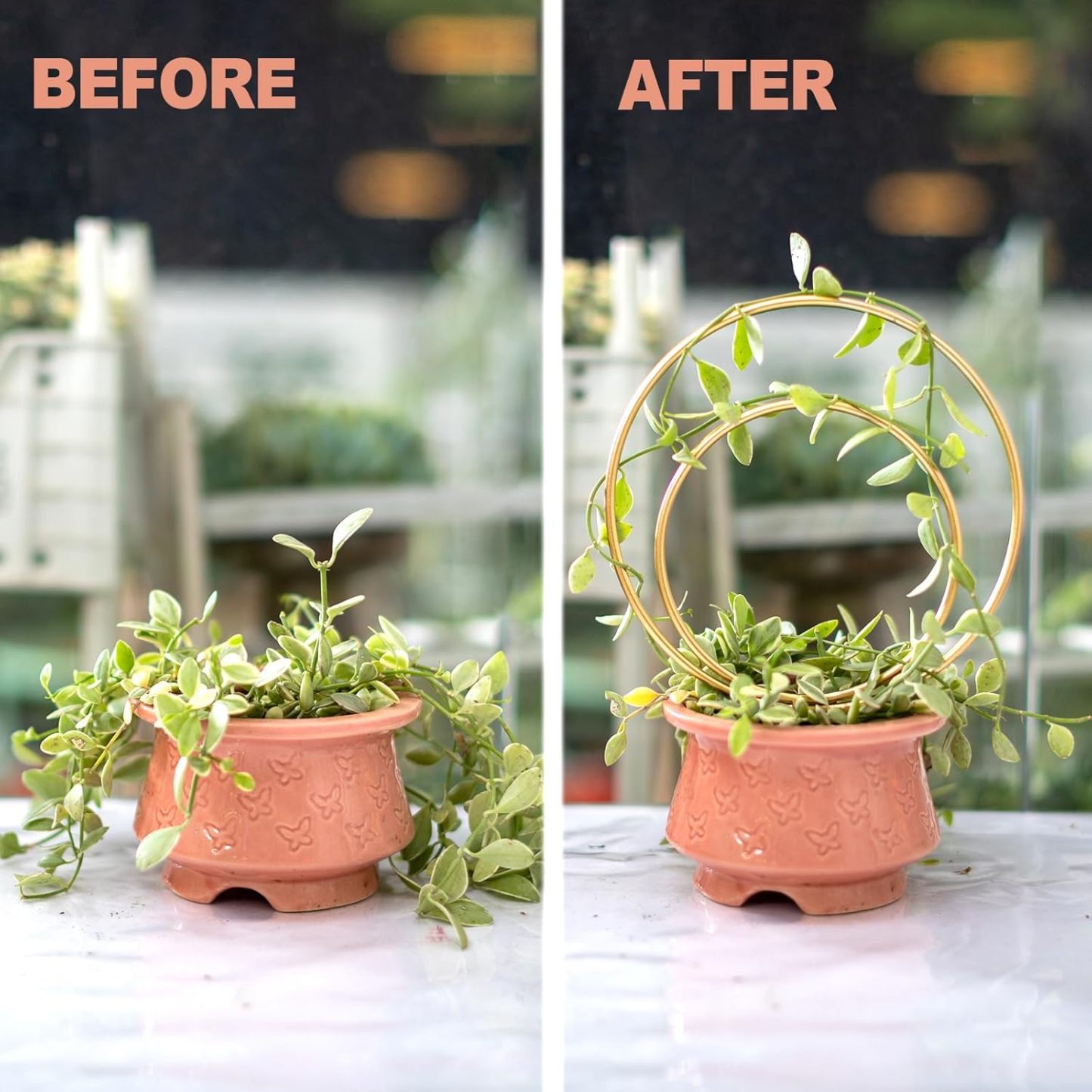 3-Pack Gold Metal Plant Trellis for Climbing Vines-MOUGIGI