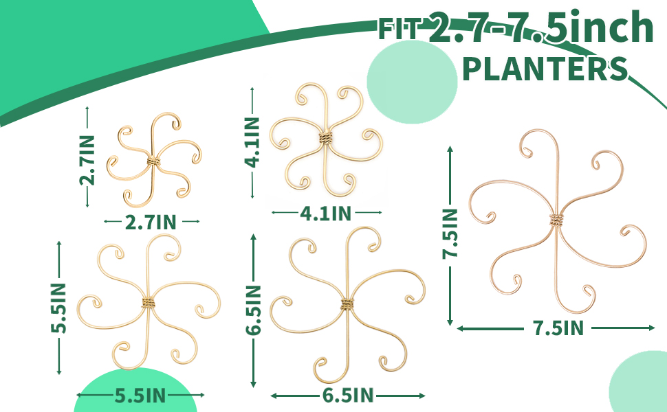 Monstera Stem Support