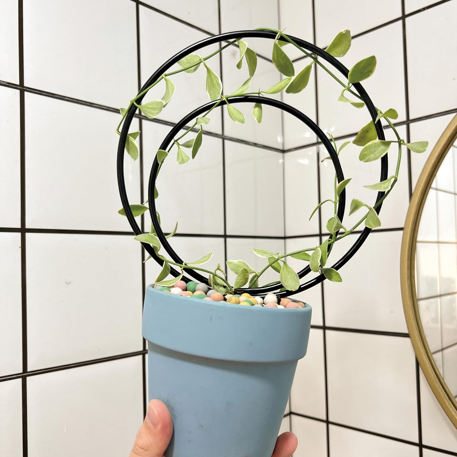 3-Size Round Plant Trellis Set for Climbing Plants-MOUGIGI