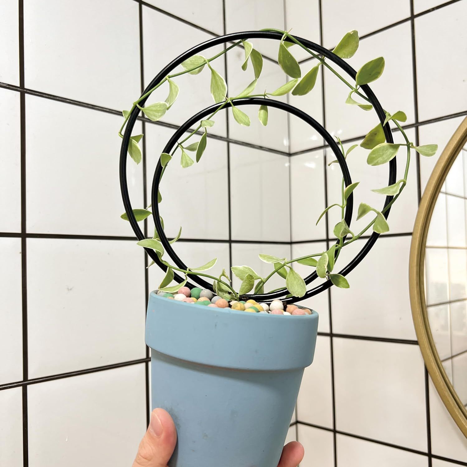 3-Size Round Plant Trellis Set for Climbing Plants-MOUGIGI