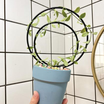 3-Size Round Plant Trellis Set for Climbing Plants-MOUGIGI