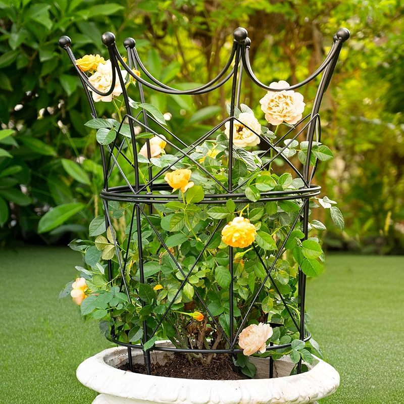Large Peony Support Cage 18.9x23.6in - Heavy Duty Plant Ring-MOUGIGI