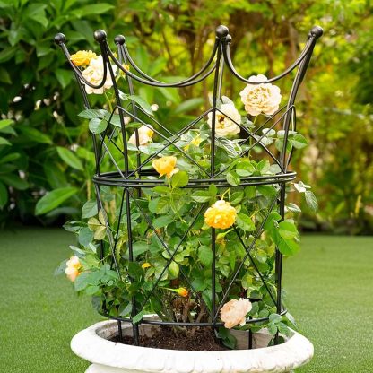 Large Peony Support Cage 18.9x23.6in - Heavy Duty Plant Ring-MOUGIGI
