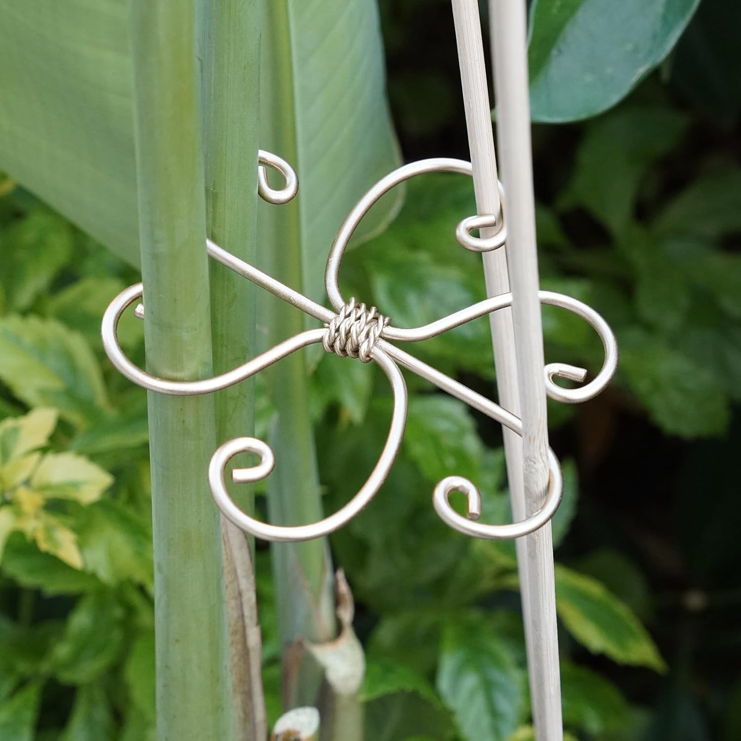 5-Pack Monstera Plant Support Stakes, 4.1IN Clamps-MOUGIGI