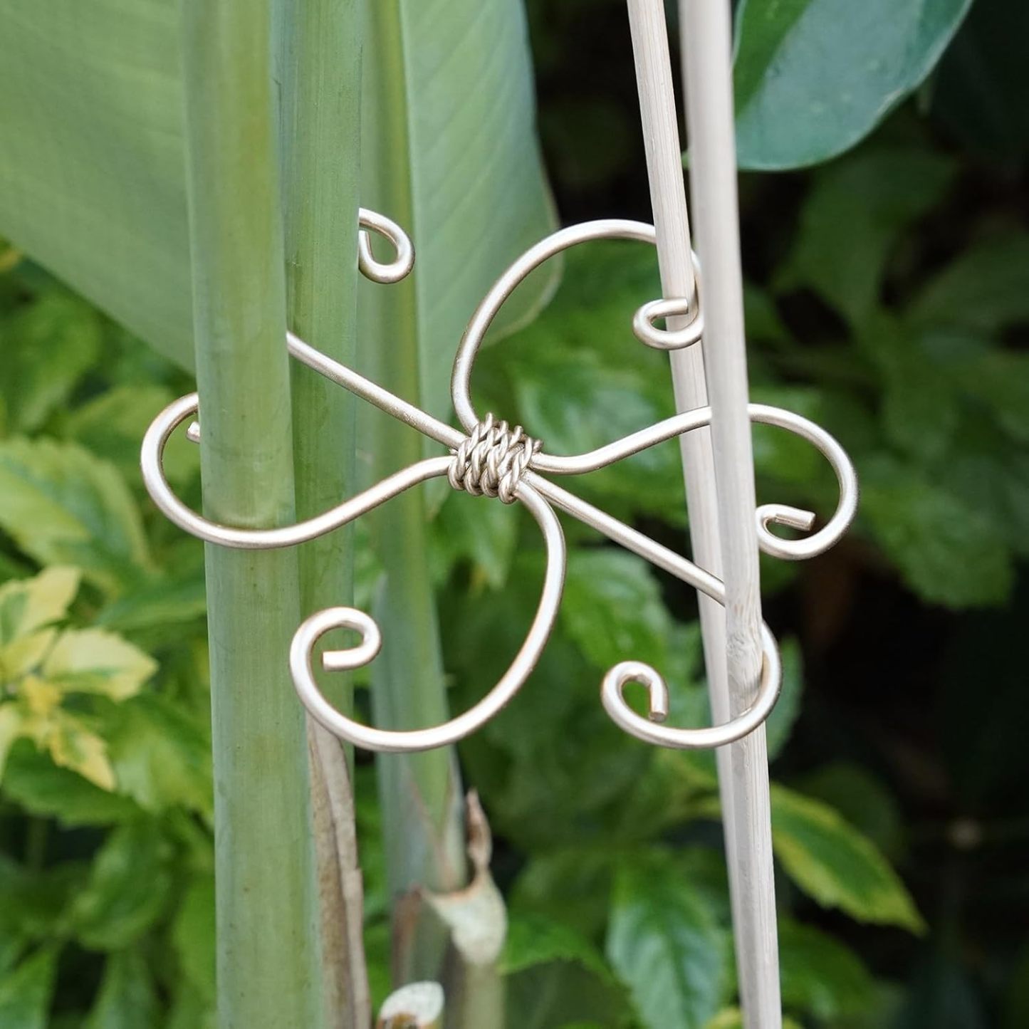 5-Pack Monstera Plant Support Stakes, 4.1IN Clamps-MOUGIGI