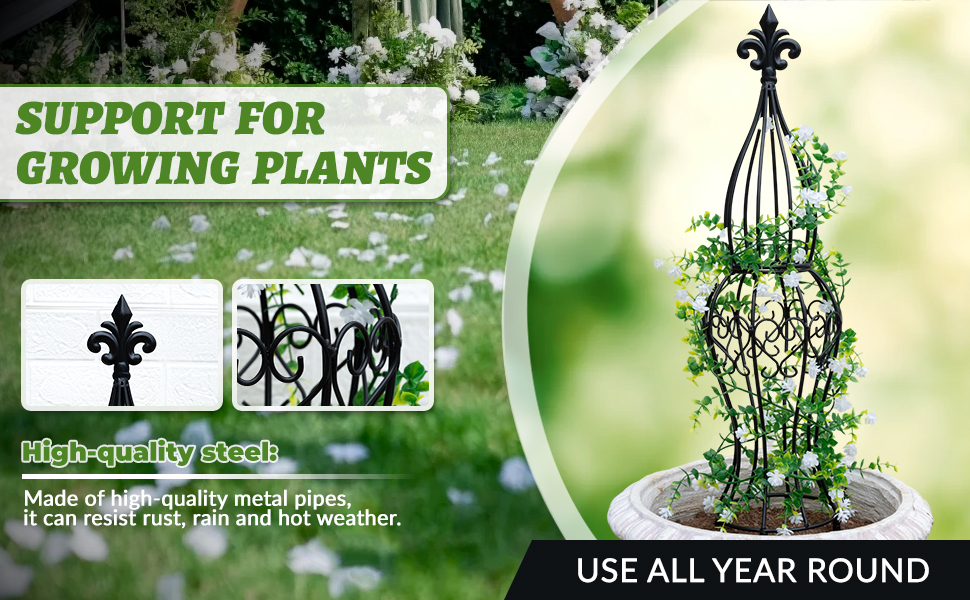 Garden Obelisk Trellis