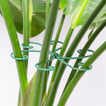 5-Pack Monstera Plant Support Stakes, 4.1IN Clamps-MOUGIGI