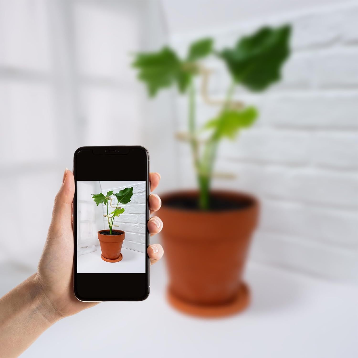 3PCS Metal Plant Stakes - 12.6" Indoor/Outdoor Plant Support-MOUGIGI