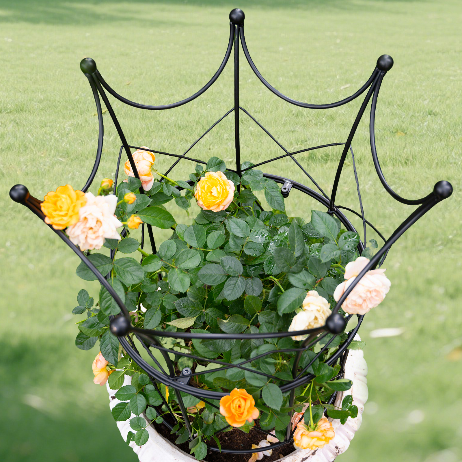 18.5x22.9in Metal Obelisk Trellis - Plant Support for Peonies & Vines