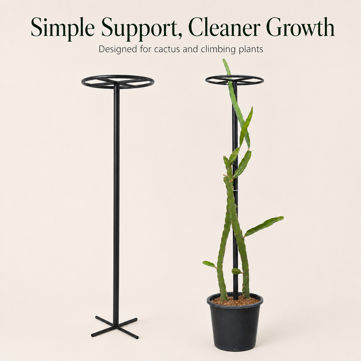 Metal Dragon Fruit Trellis for Potted Plants