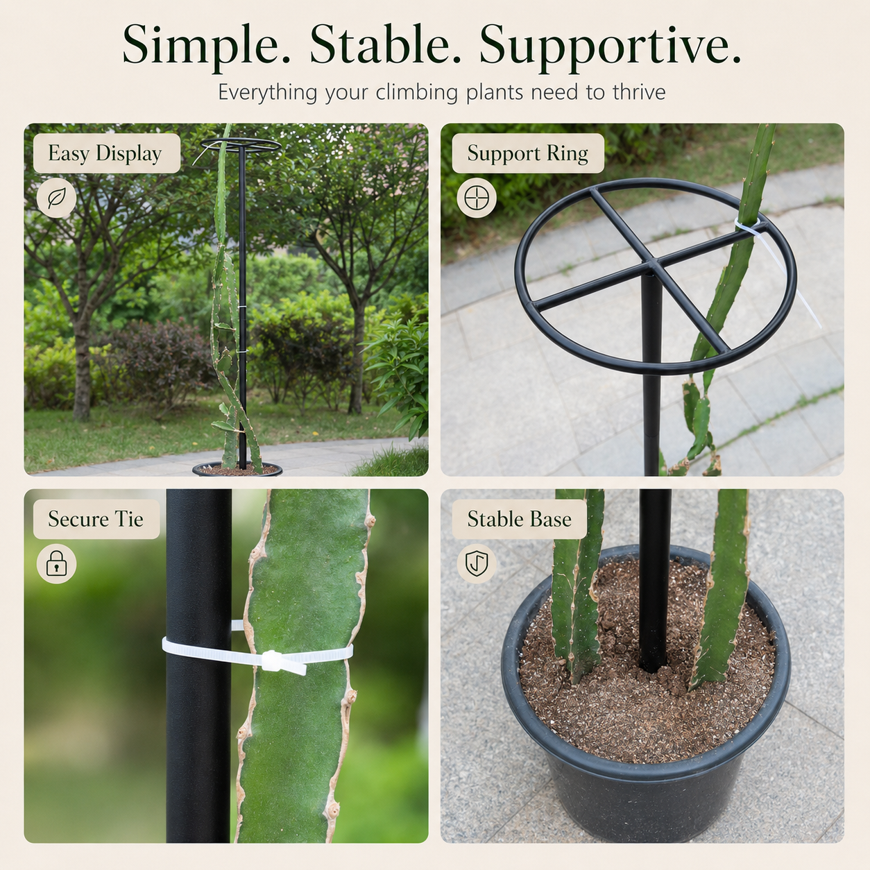 Metal Dragon Fruit Trellis for Potted Plants