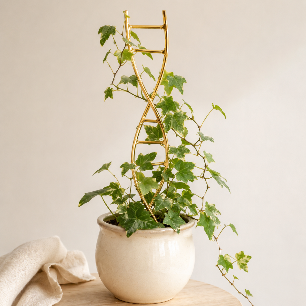 Gold DNA Plant Trellis for Indoor Vining Plants