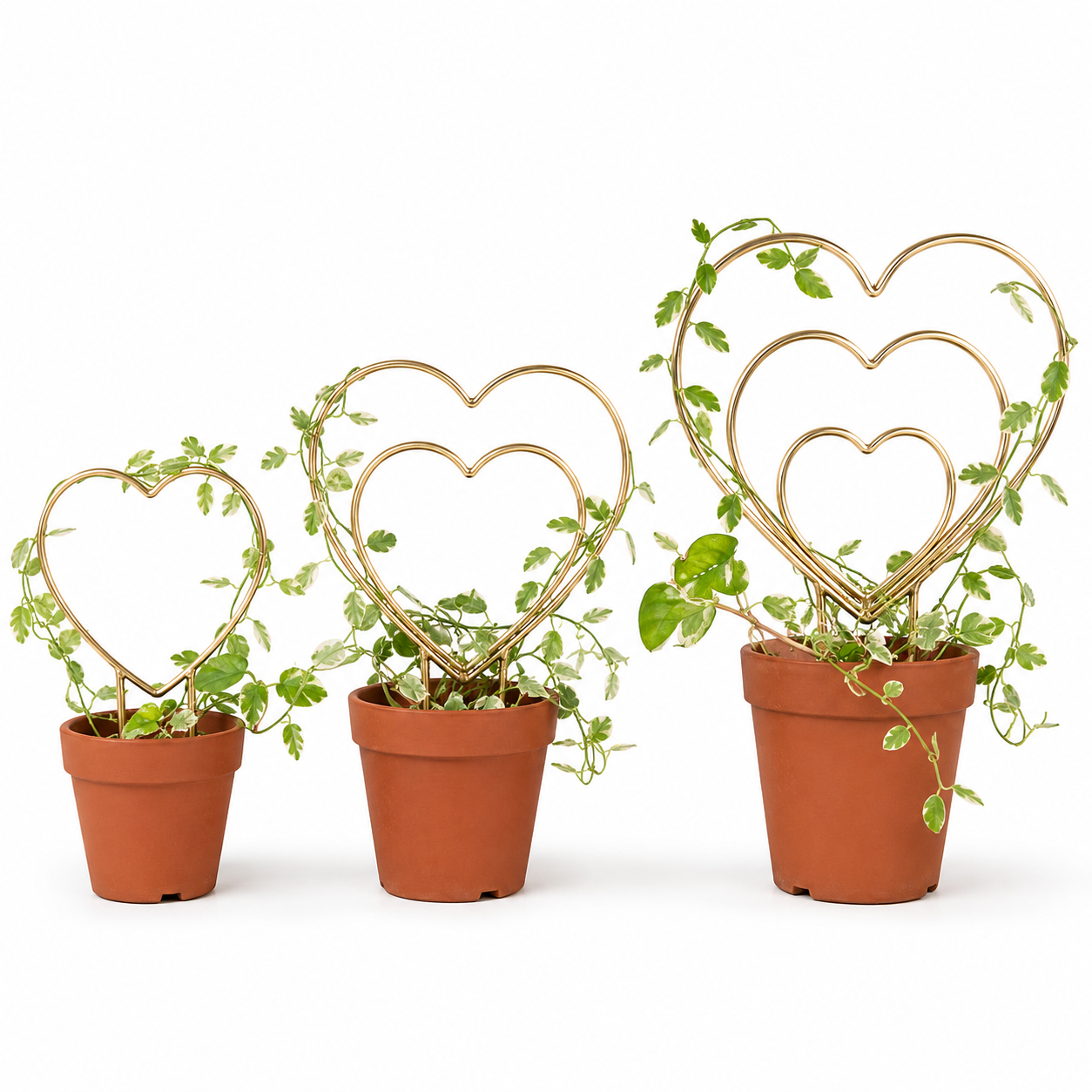 Gold Heart Indoor Plant Trellis Set of 3