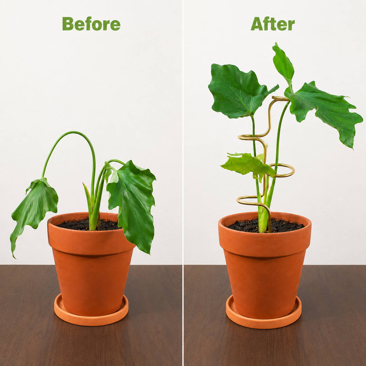 3-Piece Indoor Plant Support Stakes