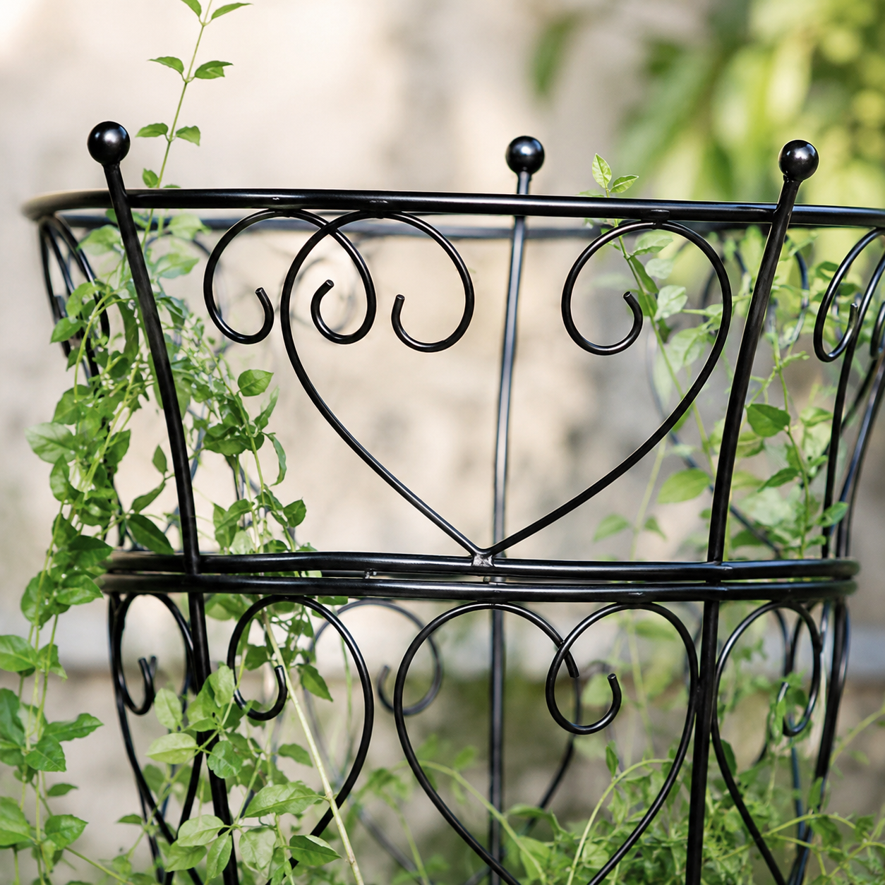 24.6-Inch Metal Obelisk Trellis for Peonies & Climbers