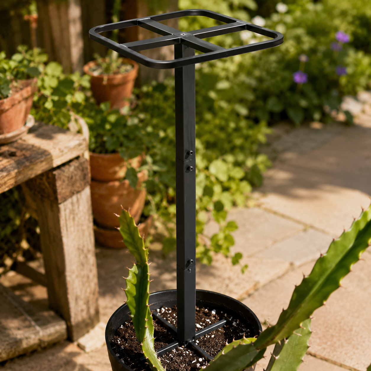 Black Metal Dragon Fruit Trellis – 1 or 2 Pack, Multiple Heights