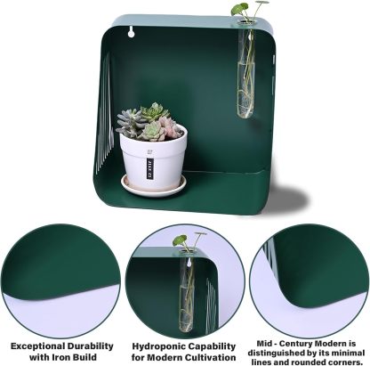 Green Iron Floating Shelf with Hydroponic Hole & Diffuser Stand-MOUGIGI