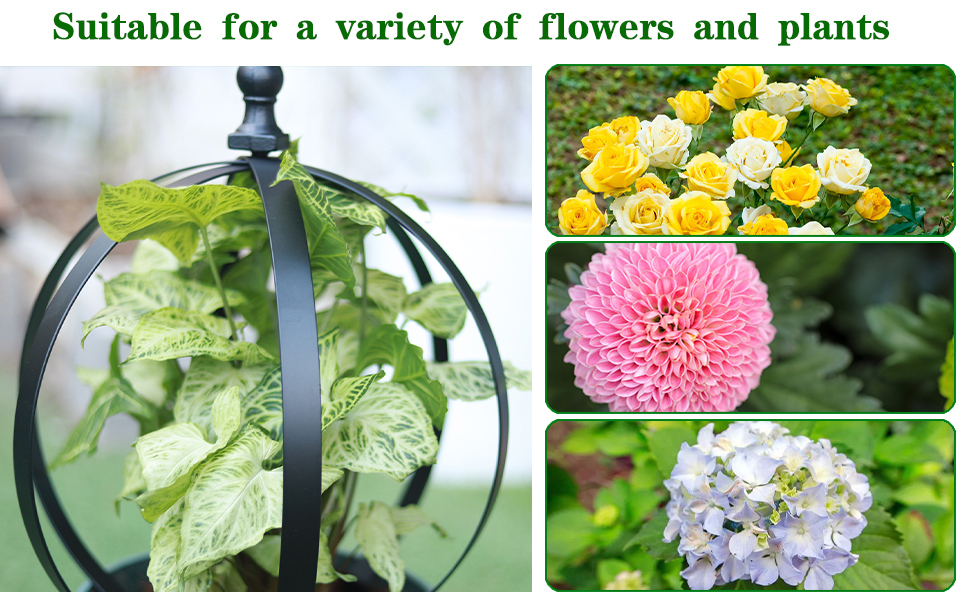 Garden Obelisk Trellis