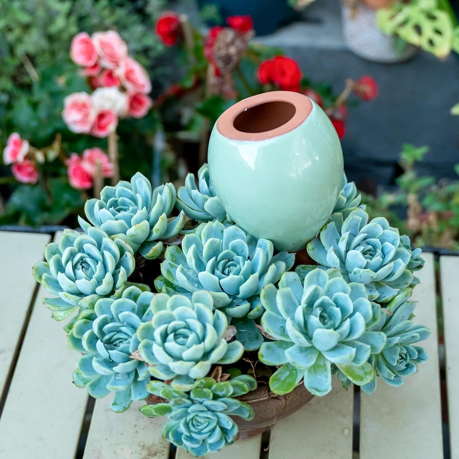 4-Pack Ceramic Self-Watering Spikes - 1-Week Plant Watering-MOUGIGI