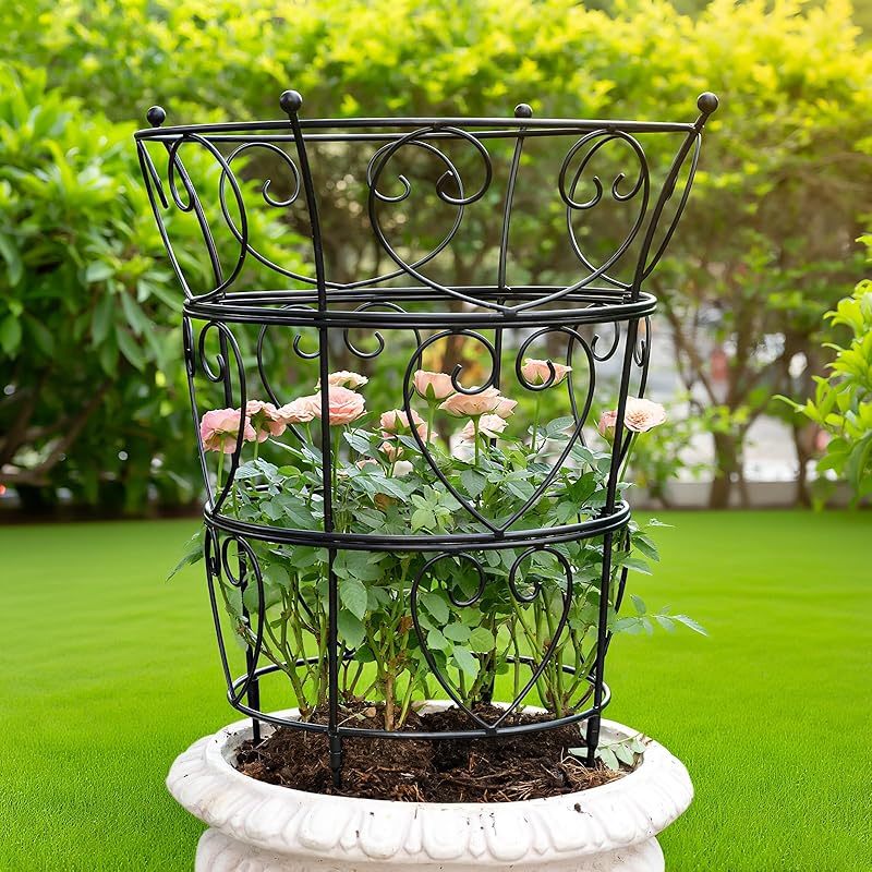 Large Peony Support Cage 18.9x23.6in - Heavy Duty Plant Ring-MOUGIGI