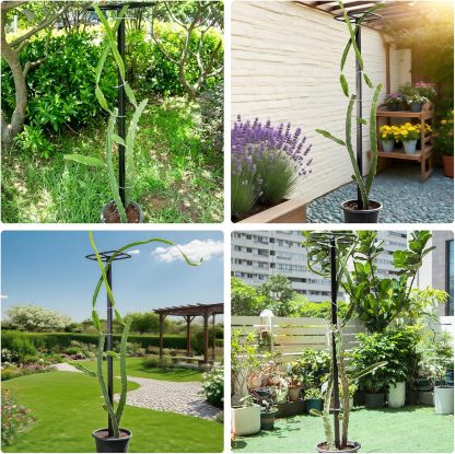 63" Metal Dragon Fruit Trellis - Heavy Duty Garden Support-MOUGIGI