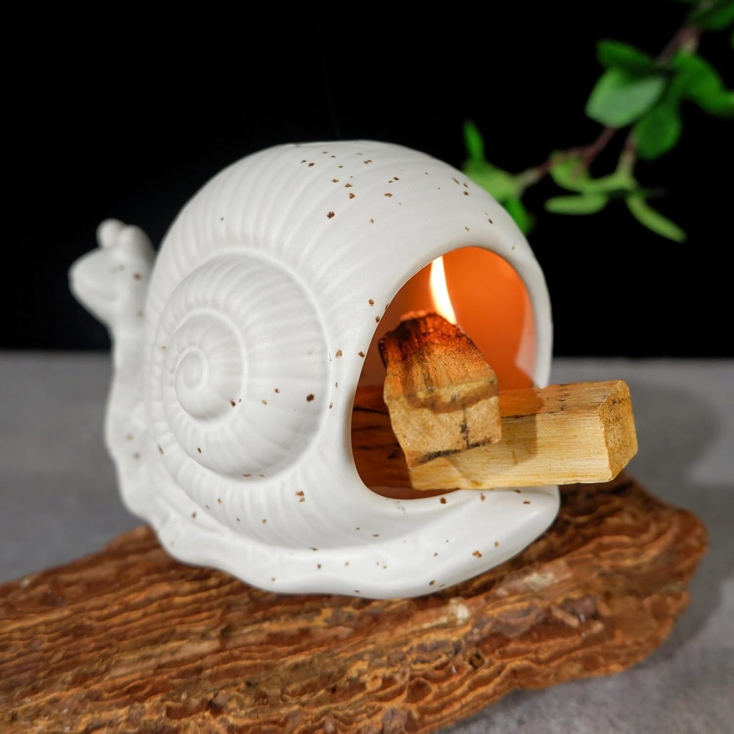 Snail Incense Burner - Palo Santo & Sage Holder-MOUGIGI