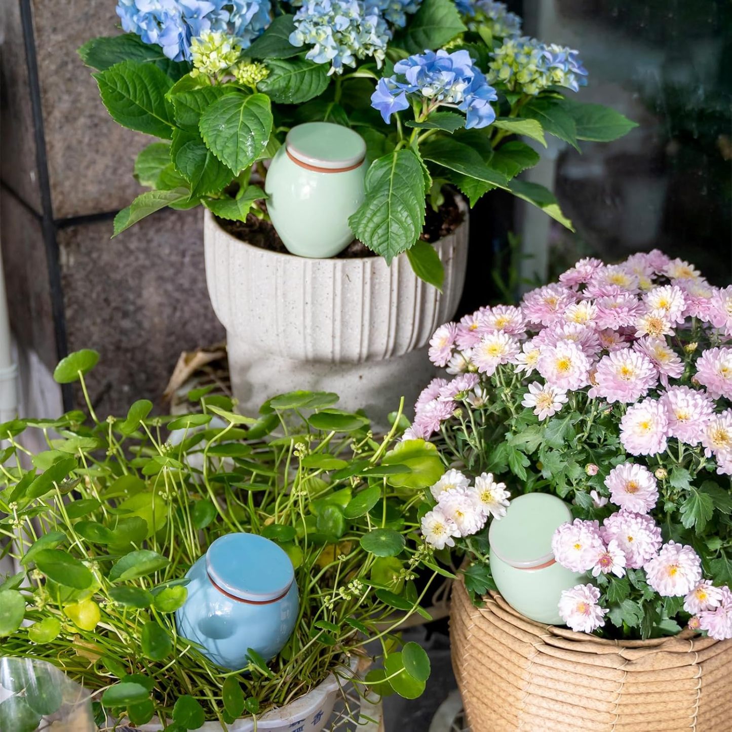 4-Pack Ceramic Self-Watering Spikes - 1-Week Plant Watering-MOUGIGI