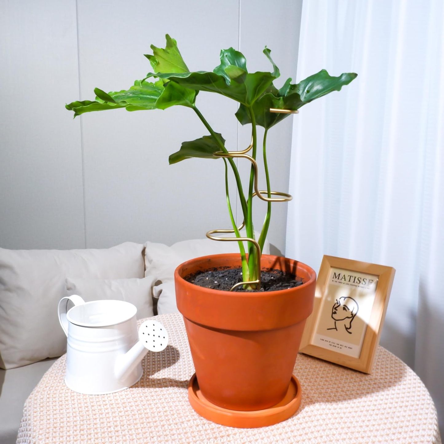 3PCS Metal Plant Stakes - 12.6" Indoor/Outdoor Plant Support-MOUGIGI