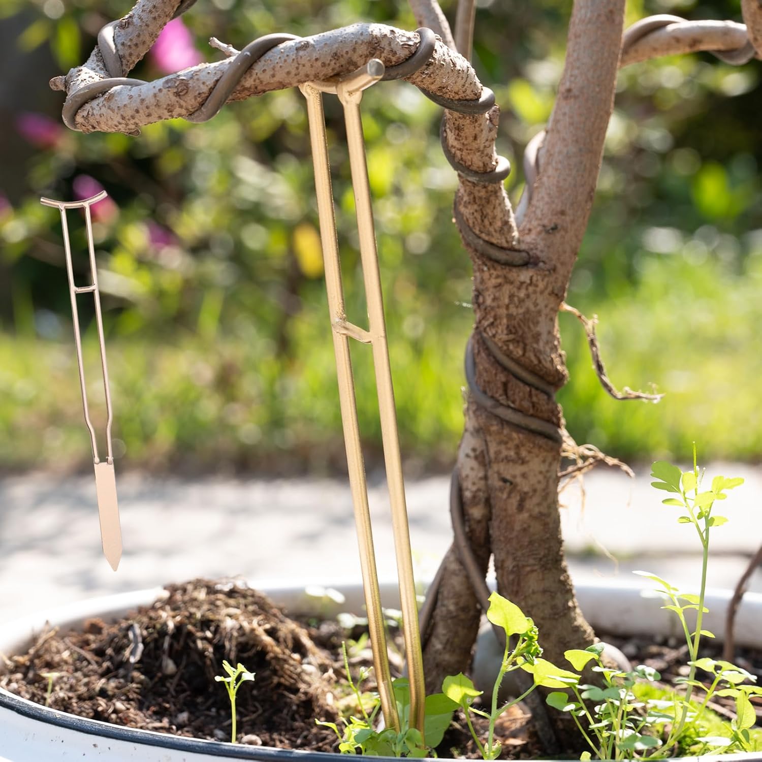 3-Pack Gold Plant Support Stakes for Monstera & Vines-MOUGIGI