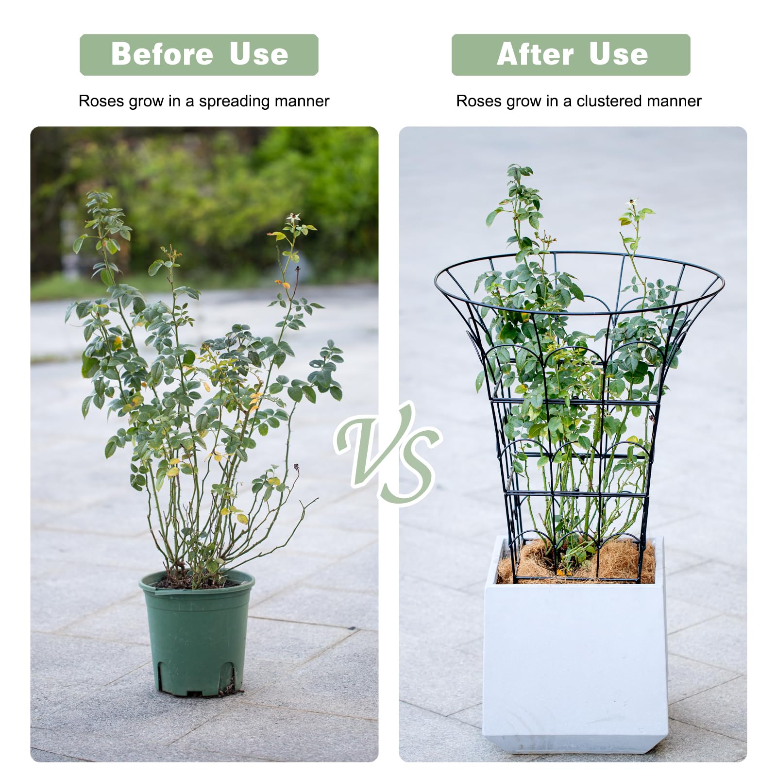 M-Shape Metal Peony Cage - 27.5x22 Inch Plant Support Trellis-MOUGIGI