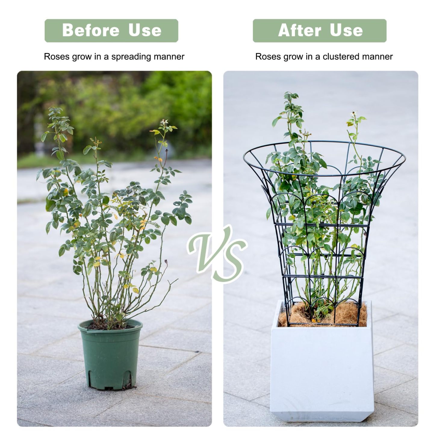 M-Shape Metal Peony Cage - 27.5x22 Inch Plant Support Trellis-MOUGIGI