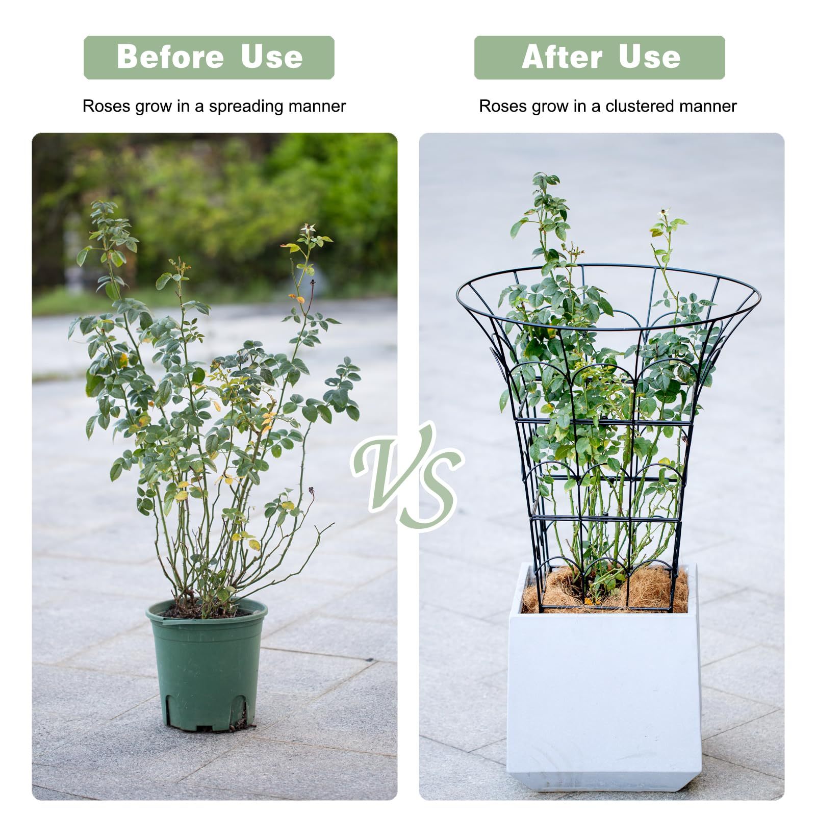 M-Shape Metal Peony Cage - 27.5x22 Inch Plant Support Trellis-MOUGIGI