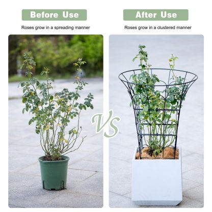 M-Shape Metal Peony Cage - 27.5x22 Inch Plant Support Trellis-MOUGIGI