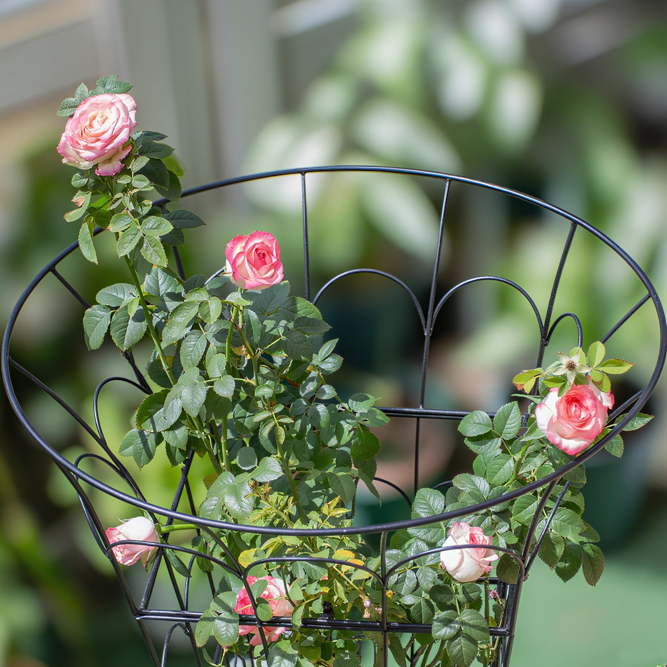 M-Shape Metal Peony Cage - 27.5x22 Inch Plant Support Trellis-MOUGIGI