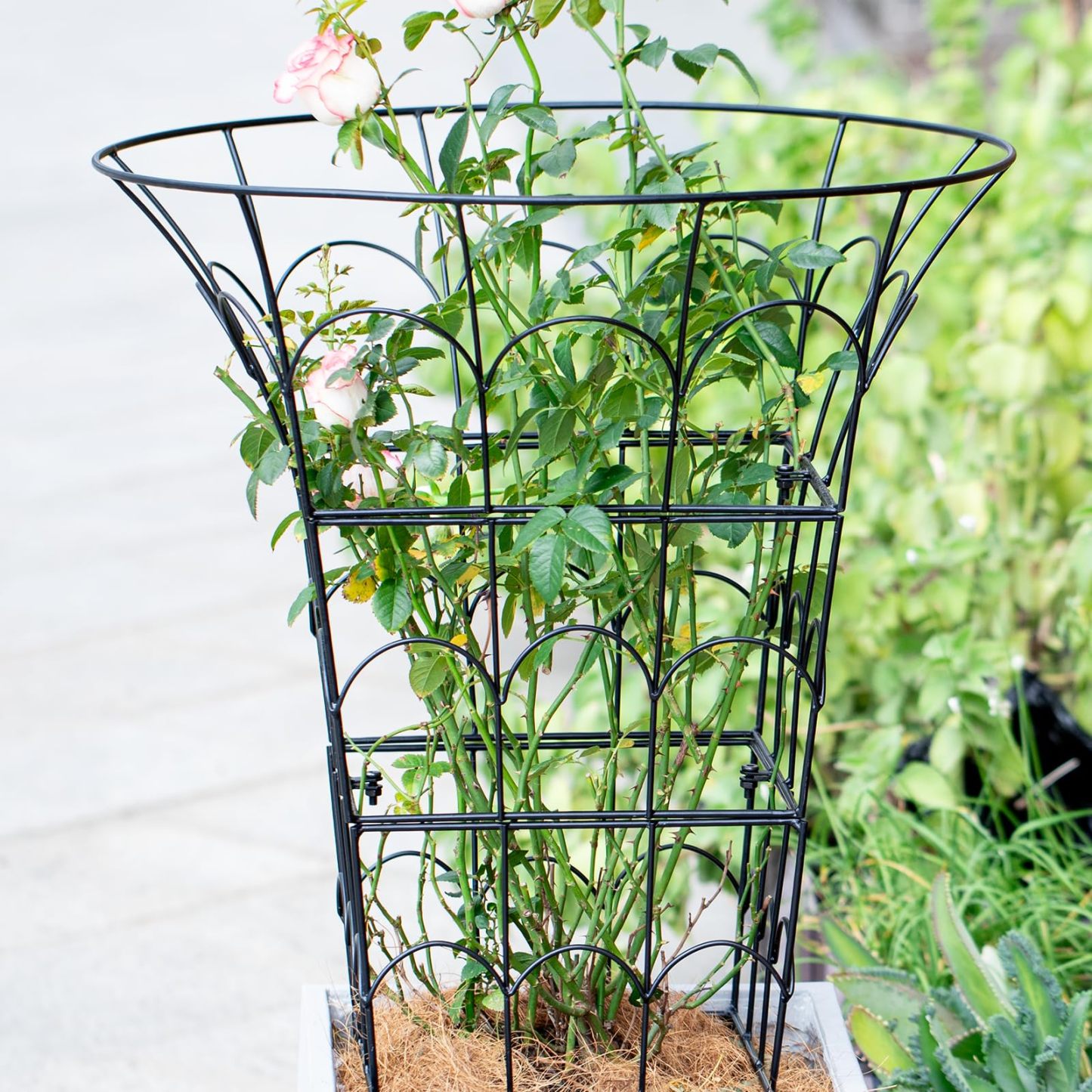 M-Shape Metal Peony Cage - 27.5x22 Inch Plant Support Trellis-MOUGIGI